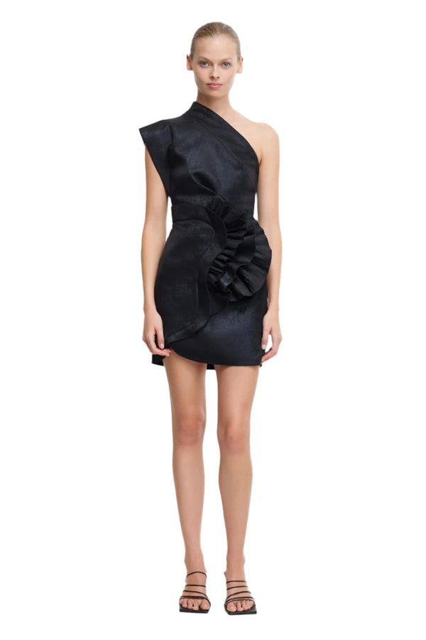 WEBSTER MINI DRESS